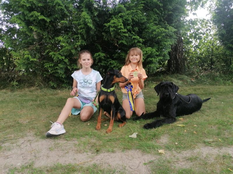 img wa0000