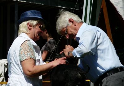 Klubsieger Ausstellung 2015