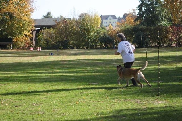 thstunier2012