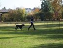 thstunier2012