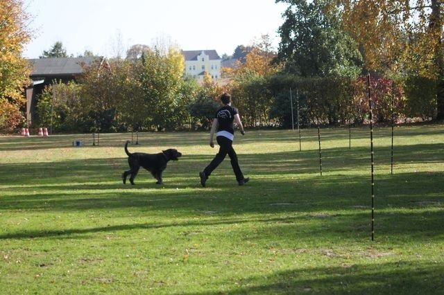thstunier2012