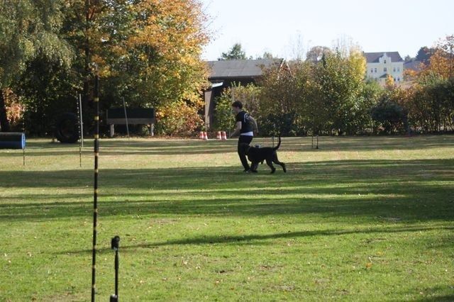 thstunier2012