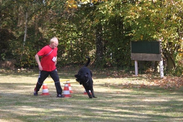 thstunier2012 kopie3