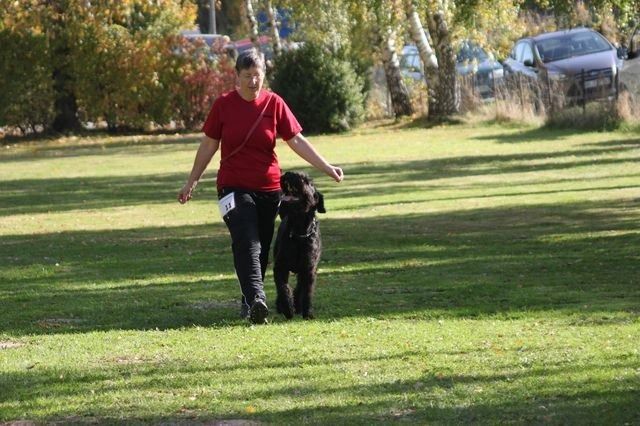 thstunier2012