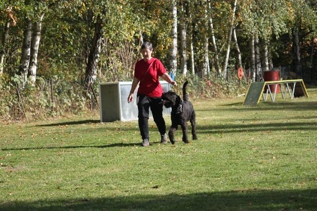 thstunier2012