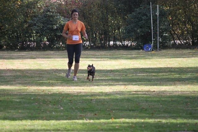 thstunier2012 kopie3