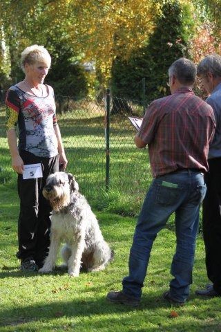 thstunier2012 kopie2