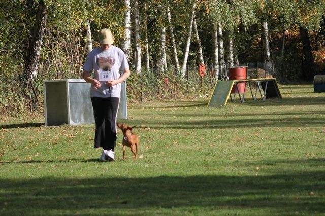 thstunier2012