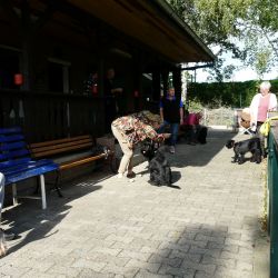 p1180809