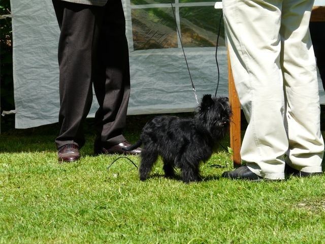 pskogschau2011