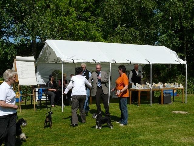pskogschau2011