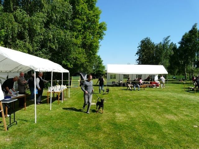 pskogschau2011