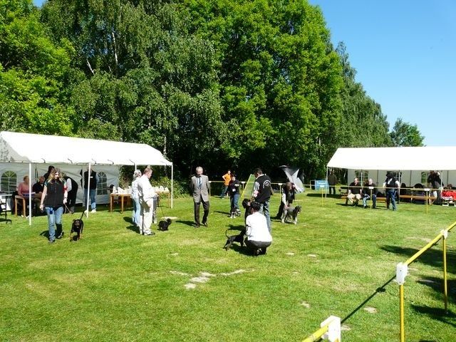 pskogschau2011