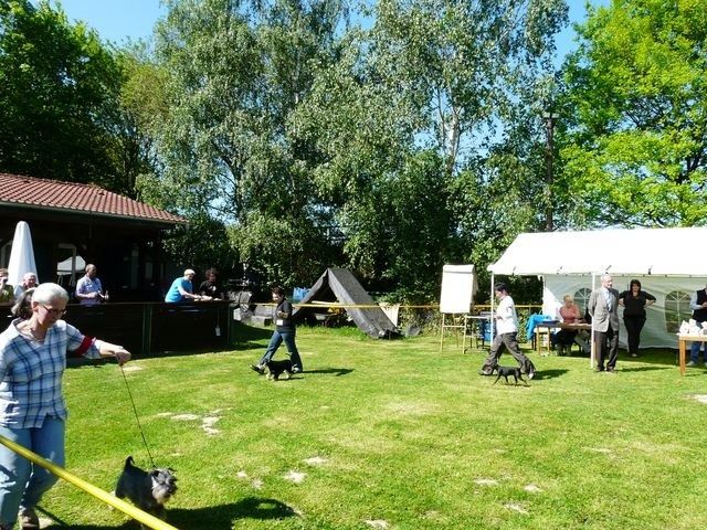 pskogschau2011