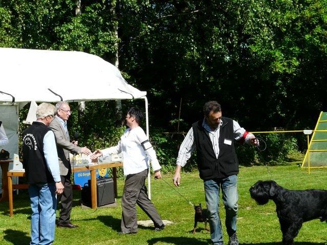 pskogschau2011