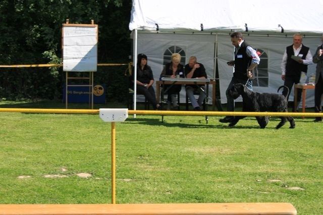 pskogschau2011