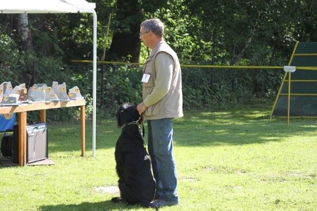pskogschau2011