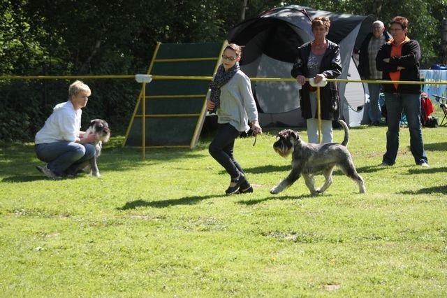 pskogschau2011