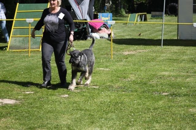 pskogschau2011