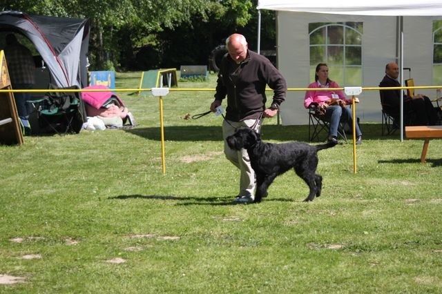 pskogschau2011