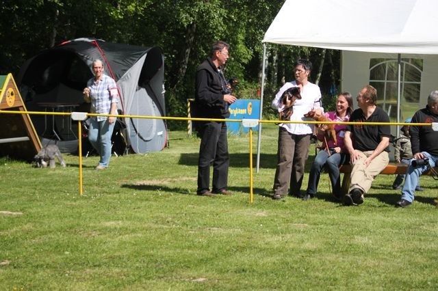 pskogschau2011