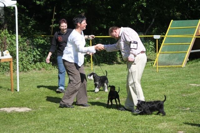 pskogschau2011