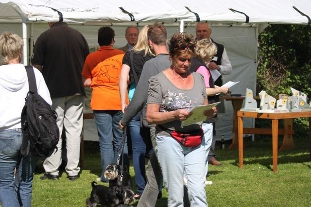 pskogschau2011
