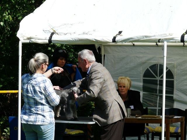 pskogschau2011