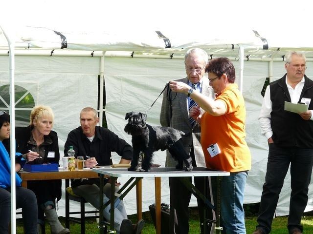 pskogschau2011