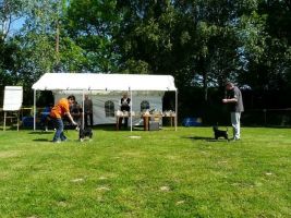 pskogschau2011