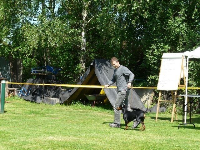 pskogschau2011