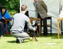 pskogschau2011