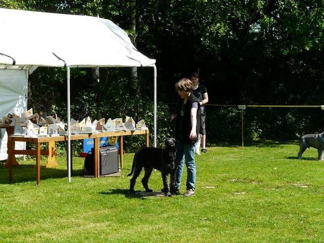 pskogschau2011