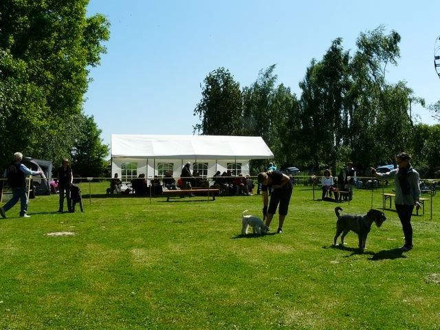 pskogschau2011