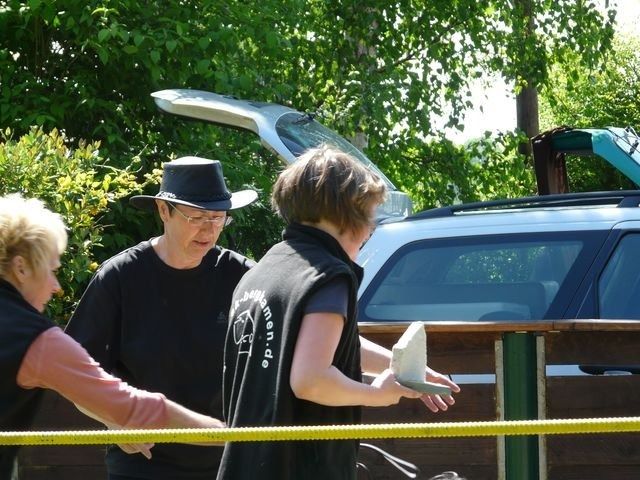 pskogschau2011