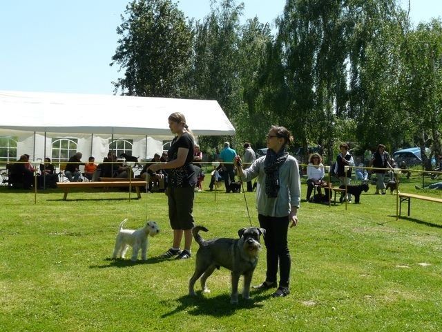 pskogschau2011