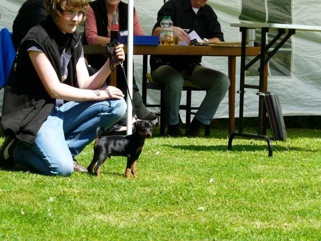 pskogschau2011