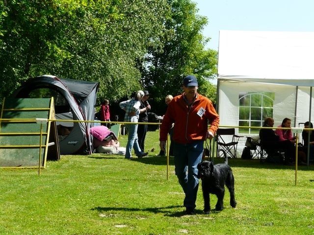 pskogschau2011