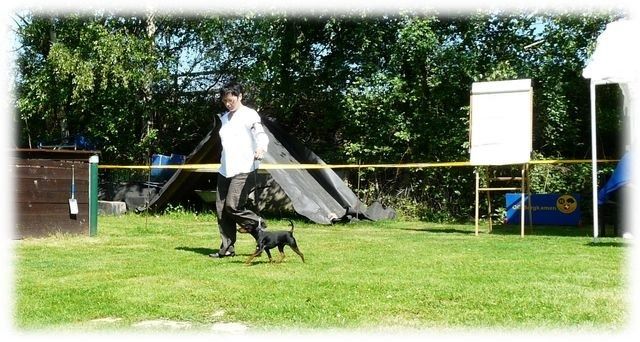 pskogschau2011