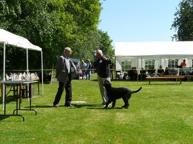 pskogschau2011