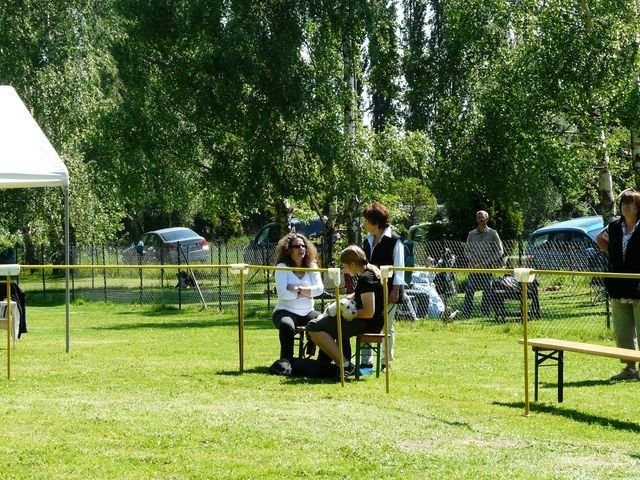 pskogschau2011