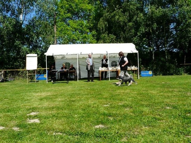 pskogschau2011
