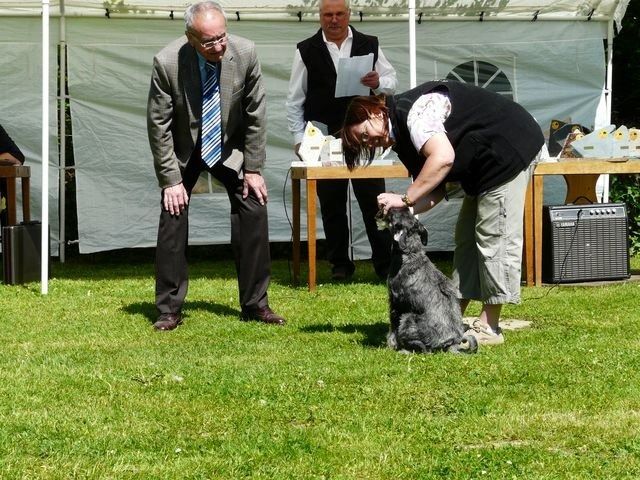 pskogschau2011