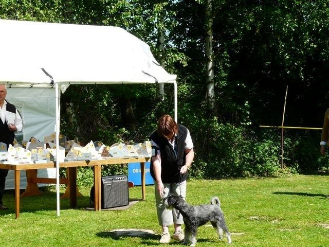 pskogschau2011