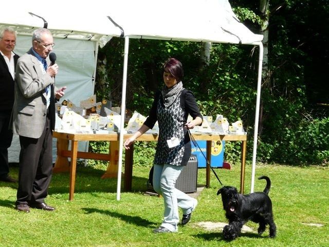 pskogschau2011