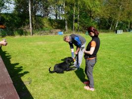 workshop t morgenstern 1a