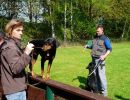workshop t morgenstern 1a
