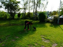 workshop t morgenstern 1a