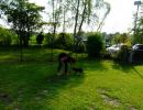 workshop t morgenstern 1a