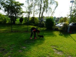 workshop t morgenstern 1a